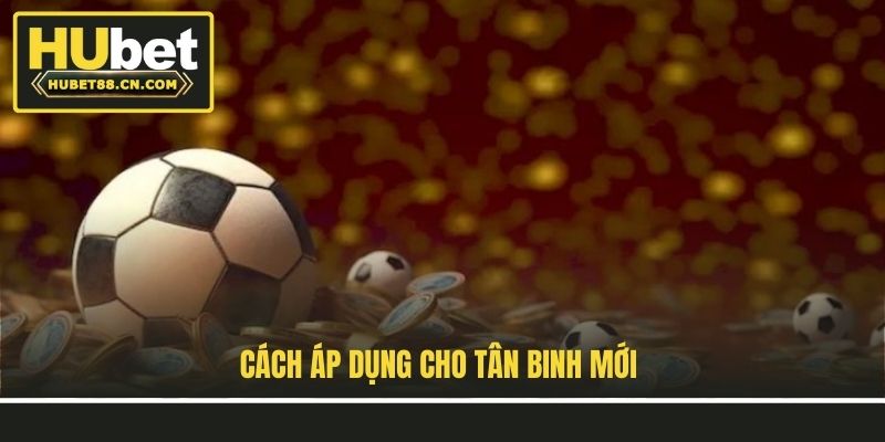 Cách áp dụng cho tân binh mới